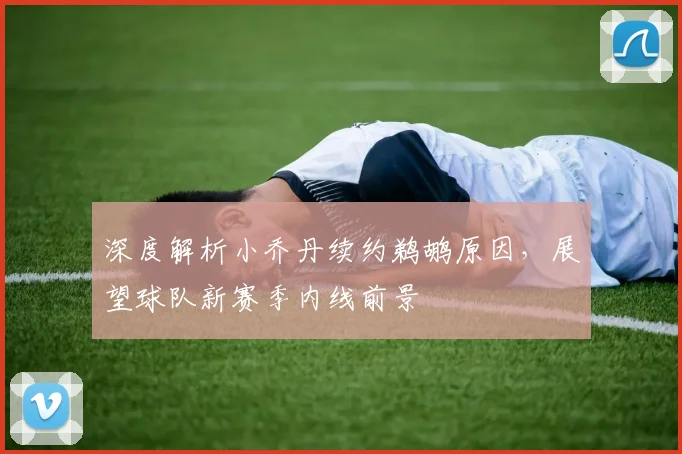 深度解析小乔丹续约鹈鹕原因，展望球队新赛季内线前景